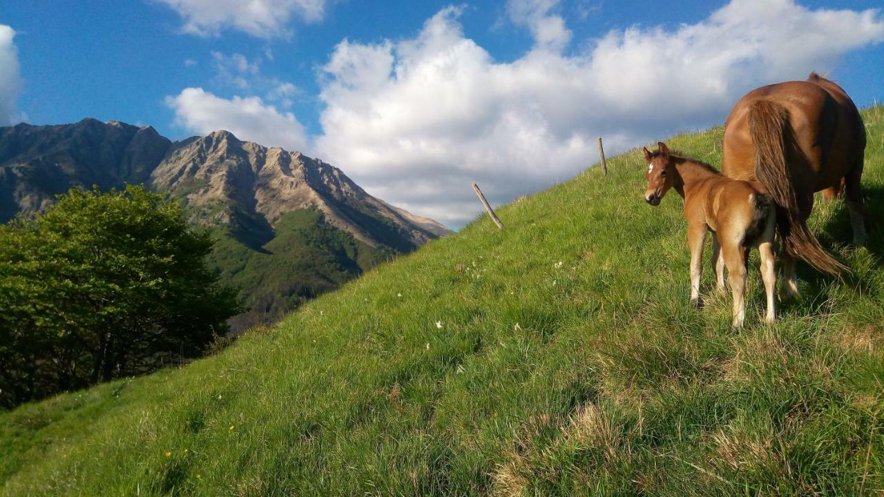 B&B La Bredia Fivizzano Eksteriør bilde